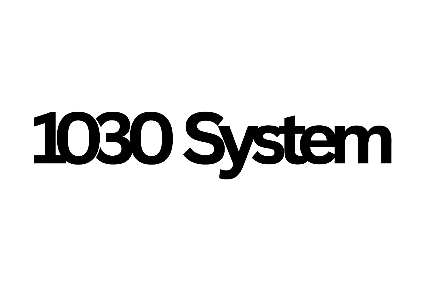 1030 System